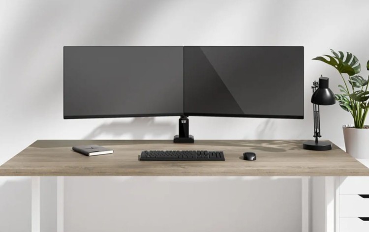 Neomounts Ramię do monitora DS60-600BL2