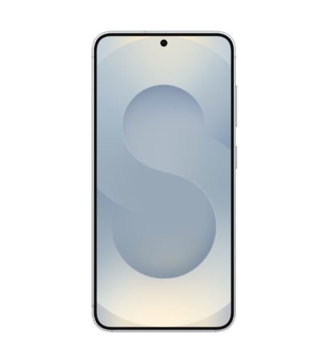 Samsung Smartfon GALAXY S25 5G 12/256GB DS Enterprise Edition Srebrny