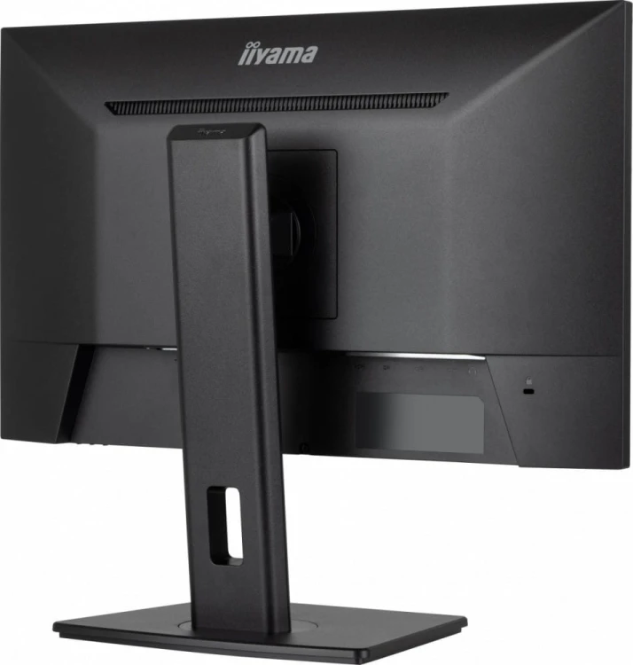 IIYAMA Monitor 24 cale XUB2493HSU-B7,IPS.HDMI.DP.2x2W.USBx2,300cd