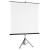 Hama Ekran na statywie do projektora 155x155cm
