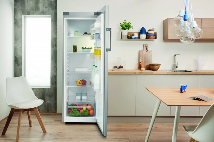 Indesit Chłodziarka SI62SEU