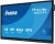 IIYAMA Monitor 65 cali TE6513A-B1AG INFRARED,40pkt,IPS,4K,7H,450cd/m2,      WiFi,USB, ANDROID 14, Google EDLA,2x20W, UCHWYT CIENNY