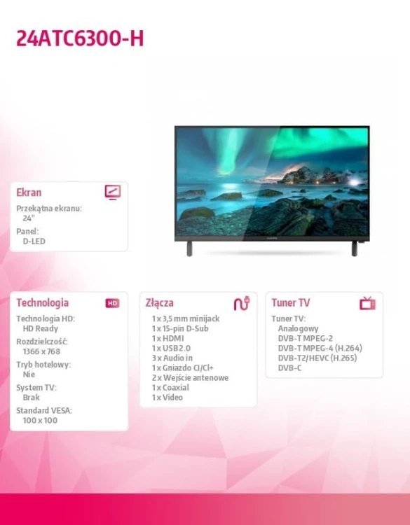 Allview Telewizor LED 24 cale 24ATC6300-H