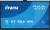 IIYAMA Monitor 75 cali TE7513A-B1AG INFRARED,40pkt,IPS,4K,7H,450cd/m2,      WiFi,USB, ANDROID 14, Google EDLA,2x20W, UCHWYT CIENNY
