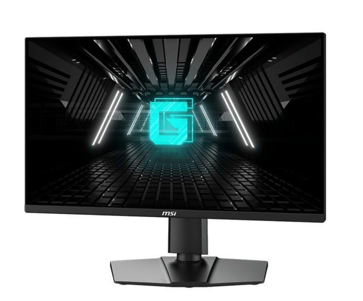 MSI Monitor G255PF E2 24,5 cala LED/FHD/Flat/180Hz/Black