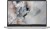 Dell Laptop Dell Pro 16 PC16250 W11P C5 220U/16GB/512GB/16.0 FHD+/Int/FgrPr/FHD/IRCam/Mic/WLAN+BT/BcklKb/3C/3YPS Platinum