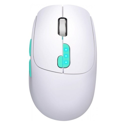 Defender Mysz bezprzewodowa NITTA MM-307 RF+BT 1600DPI 6P biała