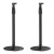 Maclean Uchwyt na Sonos ERA 100 X 300 MC-496