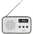 Adler Radio cyfrowe PLL AD1907