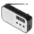 Adler Radio cyfrowe PLL AD1907