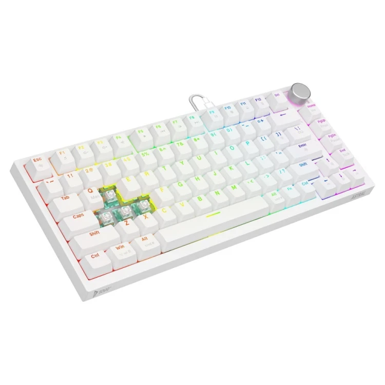Savio Klawiatura magnetyczna ASTRAL White OUTEMU White jade RGB