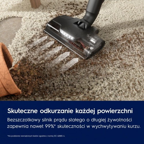 Electrolux Odkurzacz pionowy Animal 800 EP82AB25UG
