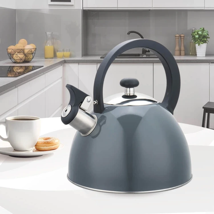 Feel-Maestro Czajnik nieelektryczny 2,5 l MR-1302-GREY