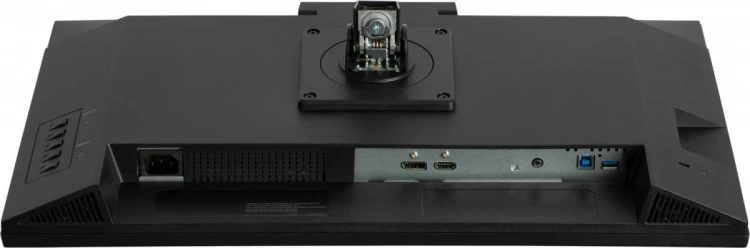 IIYAMA Monitor 24 cale XUB2490HSUH-B2 + Norton Small Business card 250G PL