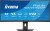 IIYAMA Monitor 34 cale XCB3497WQSNP-B1 + Norton Small Business card 250G PL
