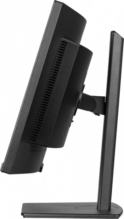 IIYAMA Monitor 34 cale XCB3497WQSNP-B1 + Norton Small Business card 250G PL