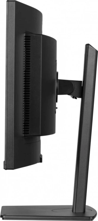 IIYAMA Monitor 34 cale XCB3497WQSNP-B1 + Norton Small Business card 250G PL