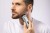 Wahl Zestaw do brody, nosa i uszu         05606-308