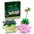 LEGO Klocki Botanicals 11506 Bujające się roślinki