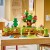 LEGO Klocki DUPLO 10480 Las odkrywców z dzikimi zwierzętami