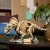 LEGO Klocki Jurassic World 77985 Szkielety dinozaurów: Triceratops