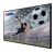 Hisense Monitor 55DM66D 55 cali 4K UHD IPS Digital Signage Display 24/7