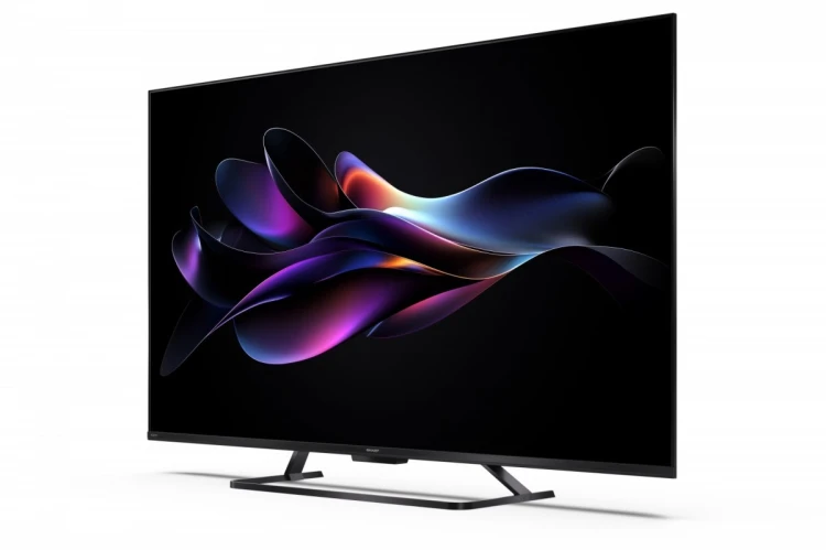 Sharp Telewizor 55 cali 55HR7465E