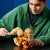 LEGO Klocki Pokemon 72160 Arcanine