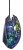 Gembird Mysz optyczna LED, 6-przyciskowa, USB, czarna