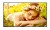 LG Electronics Monitor wielkoformatowy 75UL5Q-M UHD IPS 75 cali 500cd/m2 24/7