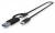 IcyBox Czytnik kart IB-CR404-C31 CFexpress z USB 3.2 ( GEN2) i Typ-A