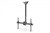 Digitus Uchwyt sufitowy TV 37-70 cali 50kg, z regulacją teleskopową 560-910mm Czarny