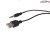 Audiocore Głośniki komputerowe 8W USB AC860