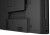 IIYAMA Monitor 43 LE4340S-B3 VA/FHD/HDMI/VGA/USB/RJ45/2X10W/16/7