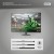 Digitus Kabel połączeniowy PREMIUM DisplayPort 8K60Hz UHD DP/DP M/M 1m Czarny