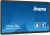 IIYAMA Monitor 23.8 cala TW2424AS-B1 POJ.10PKT.24/7,ANDROID 12 z GMS,3H