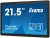 IIYAMA Monitor 22 cale OTF2216MC-B1, VA,poj.10pkt.1100cd,IP65,outdoor, VGA, HDMI,DP,RJ45