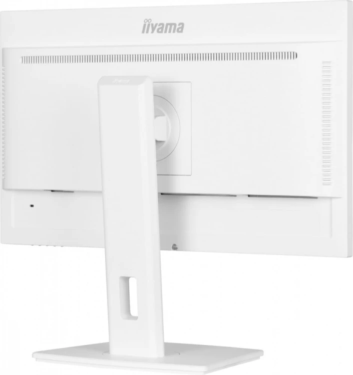 IIYAMA Monitor 24 cale XUB2497HSN-W2 IPS, USB-C Dock, HDMI, DP, 300cd, Pivot, HAS, biały /5y/