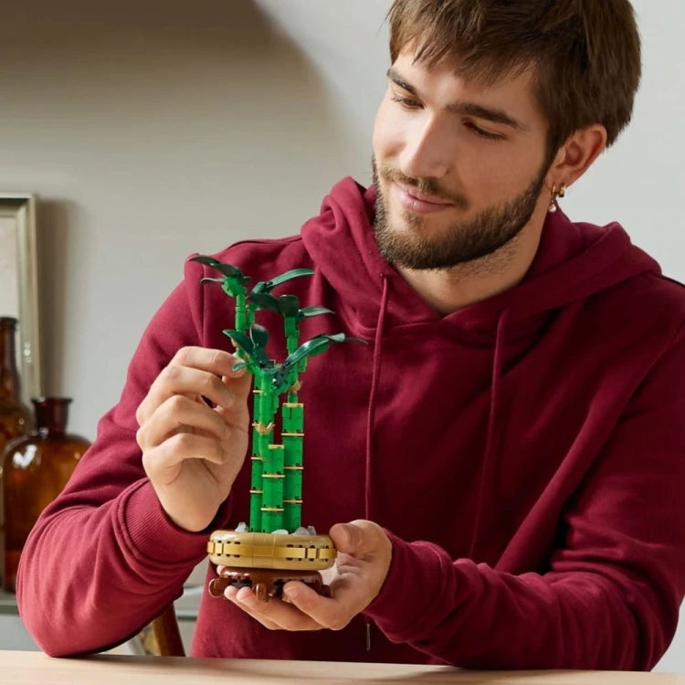 LEGO Klocki Botanicals 10344 Dracena sandera