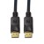 LogiLink Kabel DisplayPort 1.4 8K/60Hz 3m Czarny