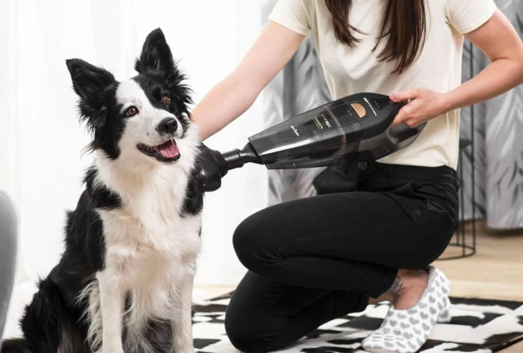 Concept Odkurzacz ręczny VP4353