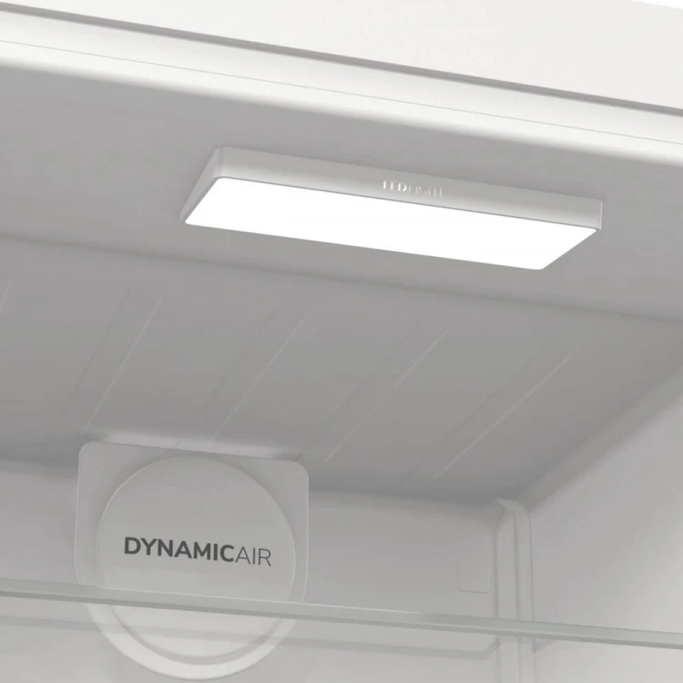 Gorenje Chłodziarka R619EAW6