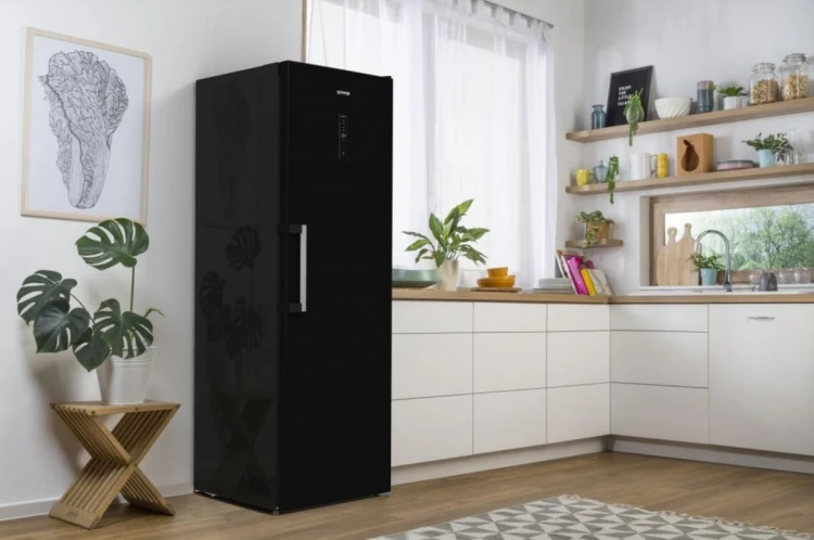 Gorenje Chłodziarka R619EABK6