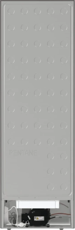 Gorenje Chłodziarka R619EES5